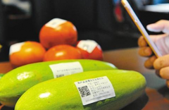 電碼防偽標簽是如何制作的，電碼防偽技術制作流程有哪些？